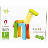 Tegu 特固 儿童磁性木制积木 14P-TNT-306T  含税到手约￥181