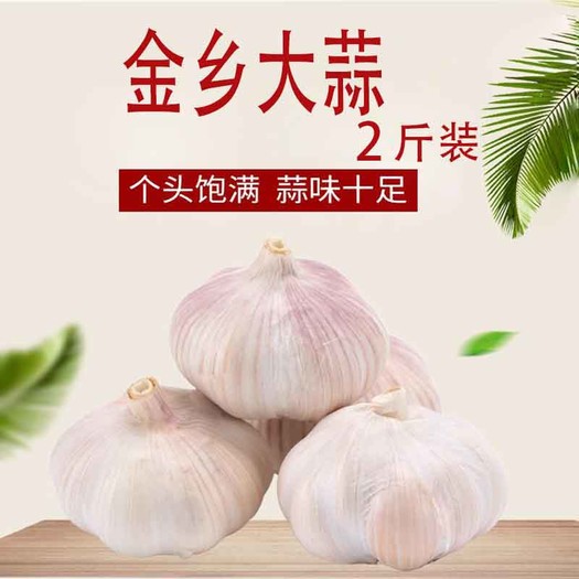 金乡大蒜山东金乡干大蒜头2斤装重
