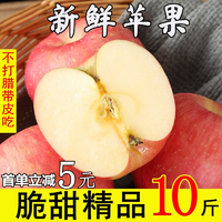 鲜印 苹果5斤