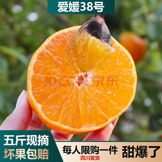 篼篼果缘 四川爱媛38号果冻橙新鲜水果5斤大果 好价