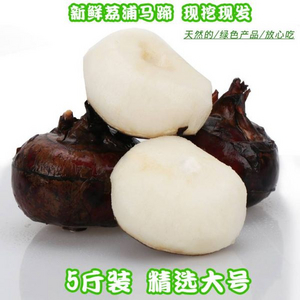 一粒春新鲜现挖马蹄荸荠净重5斤