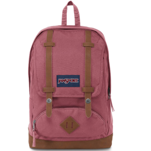 JanSport 杰斯伯 Cortlandt 中性電腦背包