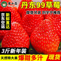 丹东特产 红颜奶油大草莓 3斤家庭装（净重2.8斤）