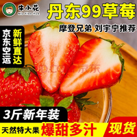 丹东草莓 产地直发   新年装3斤大果【净重2.8斤】