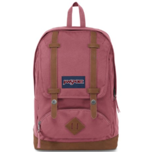 Jansport Cortlandt 中性雙肩背包