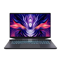 機械革命 鈦鉭 PLUS 17.3英寸筆記本電腦（i7-11800H、16GB、512GB、RTX 3060）