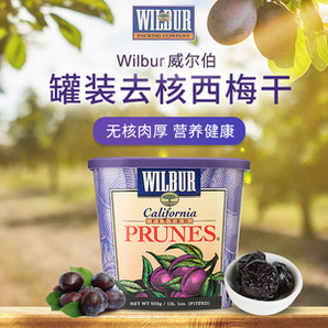 美国进口 麦德龙 Wilbur去核西梅干 500g*2桶