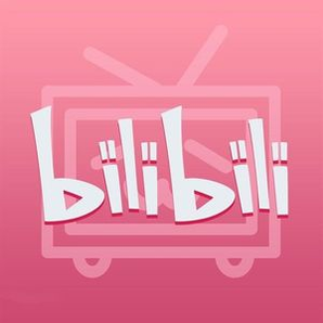 哔哩哔哩 B站VIP 12个月