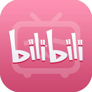 哔哩哔哩 B站VIP 12个月