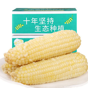 農(nóng)交會金獎！禾久 非轉(zhuǎn)基因鮮食白糯玉米 260g*8根