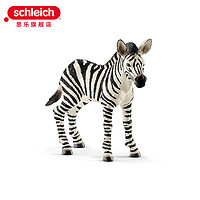 Schleich 思樂 仿真動物模型 小斑馬