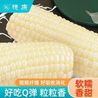 穗康 玉米 糯玉米