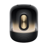 HUAWEI 華為 Sound X 鎏金劇院版 桌面 藍牙音箱 鎏光金