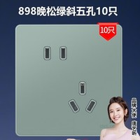DELIXI 德力西 DE898御彩系列 晚松綠斜五孔十只裝