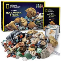 国家地理 岩石和化石工具包 200件套