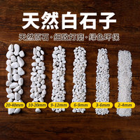 甜沃 精品天然白石子 2-4cm 1顆