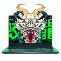 机械革命蛟龙1616英寸游戏本（R7-6800H、16GB、512GB、RTX3060）