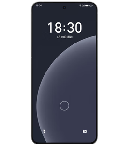 MEIZU 魅族 20 PRO 5G智能手机 12GB+256GB