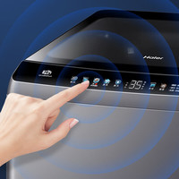 Haier 海爾 ES100B36Plus5 變頻波輪洗衣機 10kg 灰色