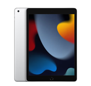 Apple 蘋(píng)果 iPad（第 9 代）10.2英寸平板電腦 2021年款（64GB WLAN版/A13芯片/學(xué)習(xí)辦公娛樂(lè)游戲/MK2L3CH/A）銀色