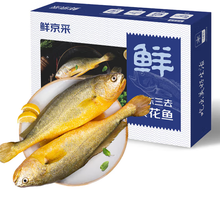 20點！海名威 三去黃花魚 5條 1.7kg