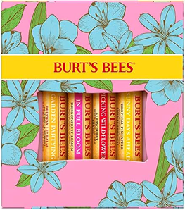 Burt's Bees小蜜蜂 潤唇膏禮品套裝4.25g*4支 到手價66.25元