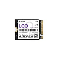 TOPMORE 达墨 Leo 狮子座 NVMe M.2固态硬盘 1TB（PCIe 4.0）