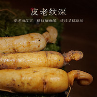 CBM GINSENG 長(zhǎng)白山人參 新鮮人參 10支裝正品