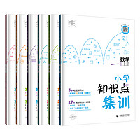 《53小學(xué)數(shù)學(xué)知識點集訓(xùn)》（2023版、年級任選）