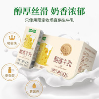 視界牧業(yè) 常溫調(diào)制酪香牛乳200ml*10盒兒童學(xué)生營養(yǎng)早餐奶禮盒