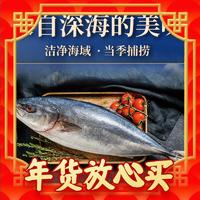 星河灣 海鮮禮盒大魚(yú)禮盒卡券 真鱈魚(yú) 凈重10斤