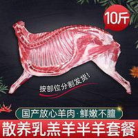 XI NIU YOU XUAN 西牛優(yōu)選 羊肉10斤半只羊內(nèi)新鮮