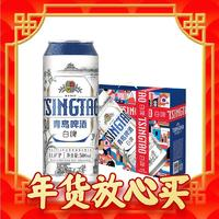 青島啤酒 全麥白啤 年貨送禮 500mL 10罐 禮盒裝 整篩子肉粒一盒