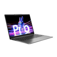 Lenovo 聯(lián)想 小新 Pro 14 2023款 14英寸筆記本電腦（i5-13500H、16GB、1TB SSD）