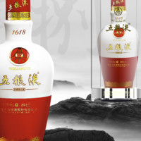 WULIANGYE 五糧液 1618白酒52度500ml*2（新老包裝隨機(jī)發(fā)