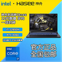 Hasee 神舟 新戰(zhàn)神Z8D6 2.5K酷睿i7+RTX4060 電競(jìng)游戲本