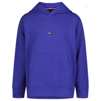 TOMMY HILFIGER 汤米·希尔费格 Tomas Pullover 男童连帽卫衣