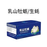 秒殺 乳山生蠔 XXXXL大號(hào)5.5斤裝 單個(gè)3-4兩 順豐冷鏈 死蠔包賠