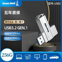 Great Wall 長(zhǎng)城 U303大容量256GB高速U盤辦公學(xué)習(xí)車載電腦U盤加密優(yōu)盤3.0