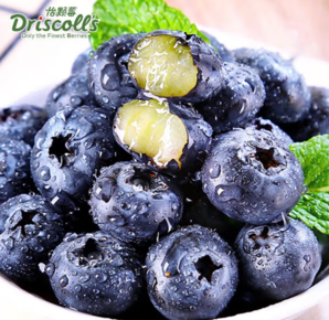 Driscoll's Only the Finest Berries 怡顆莓 當季云南藍莓 國產藍莓125g*4盒