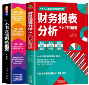 《財(cái)務(wù)報(bào)表分析從入門(mén)到精通+一本書(shū)讀懂財(cái)務(wù)報(bào)表》（套裝共2冊(cè)）