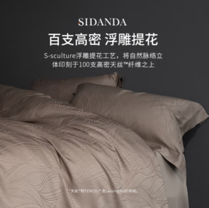 20點(diǎn)！SIDANDA 詩(shī)丹娜 奧地利100支蘭精天絲提花四件套 床單款 杏葉白 200*230cm