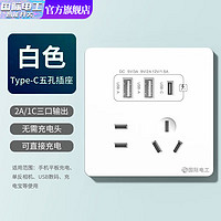 fdd 國(guó)際電工 雙USB插座面板20W快充墻壁無(wú)需充電頭Type-c家用五孔插座快充面板 五孔2.1A雙USB+type-c