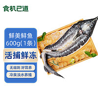 食機(jī)已道 冷凍貴州開背鱘魚400g 1條裝