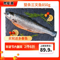 I LOVE U 我愛漁 三文魚整條850g 智利大西洋鮭魚 生鮮魚類 年貨食材