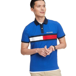 限S碼！TOMMY HILFIGER 湯米·希爾費格 男士POLO衫