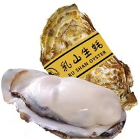 乳山生蠔 鮮活牡蠣 2XL 5.5斤裝（帶官方溯源防偽標識、死蠔包賠）