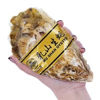 秒殺！乳山生蠔 鮮活牡蠣 XXXXL 大號(hào) 5.5斤 （帶官方溯源防偽標(biāo)識(shí)、死蠔包）