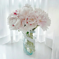 某东鲜花 山东重瓣芍药粉色10枝（品种）鲜花室内装饰趣味插花