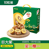 Zespri 佳沛 新西蘭陽光金奇異果10粒禮盒巨大果單果約146-175g